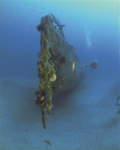 Épave sous-marine au large de Hyères, plongée profonde avec exploration de la proue d’un navire historique.